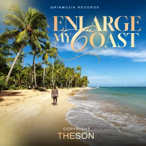 ENLARGE MY COAST  cover art by D'son